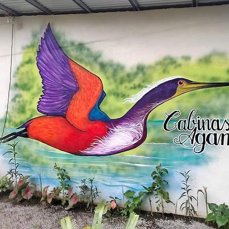 Cabinas Agamy Tortuguero Eksteriør billede