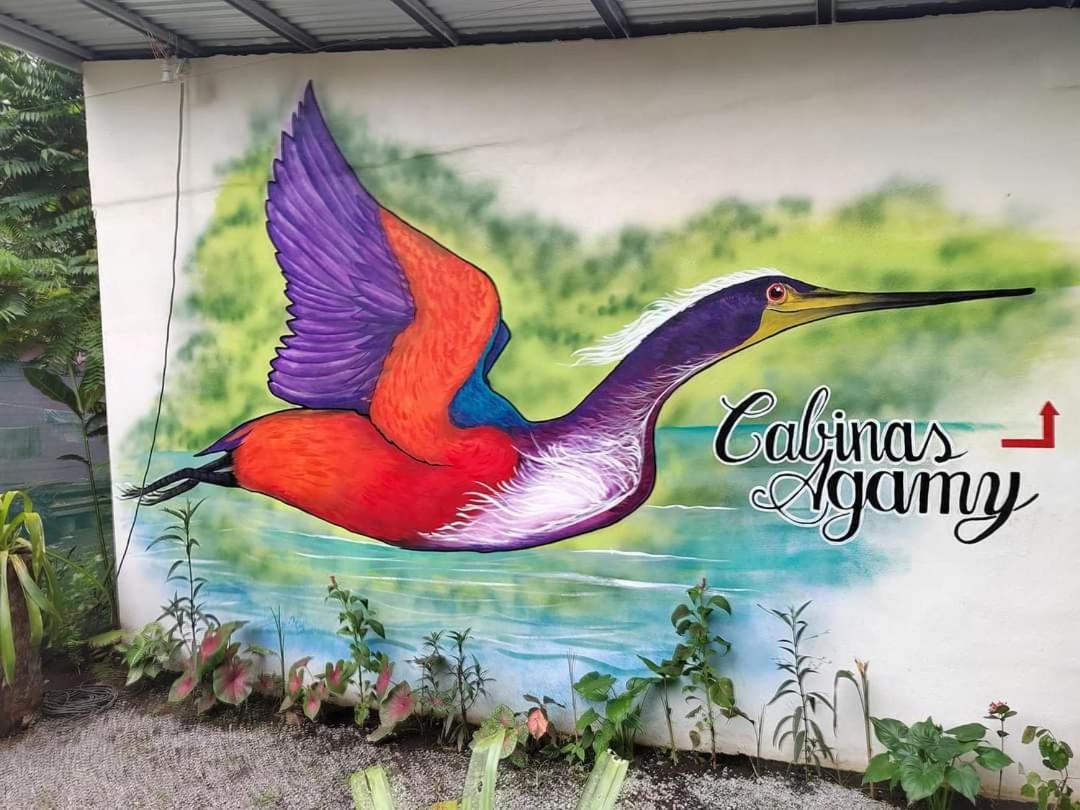 Cabinas Agamy Tortuguero Eksteriør billede