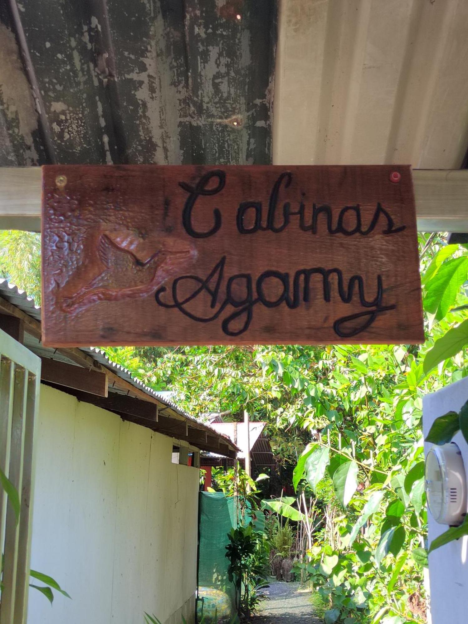 Cabinas Agamy Tortuguero Eksteriør billede