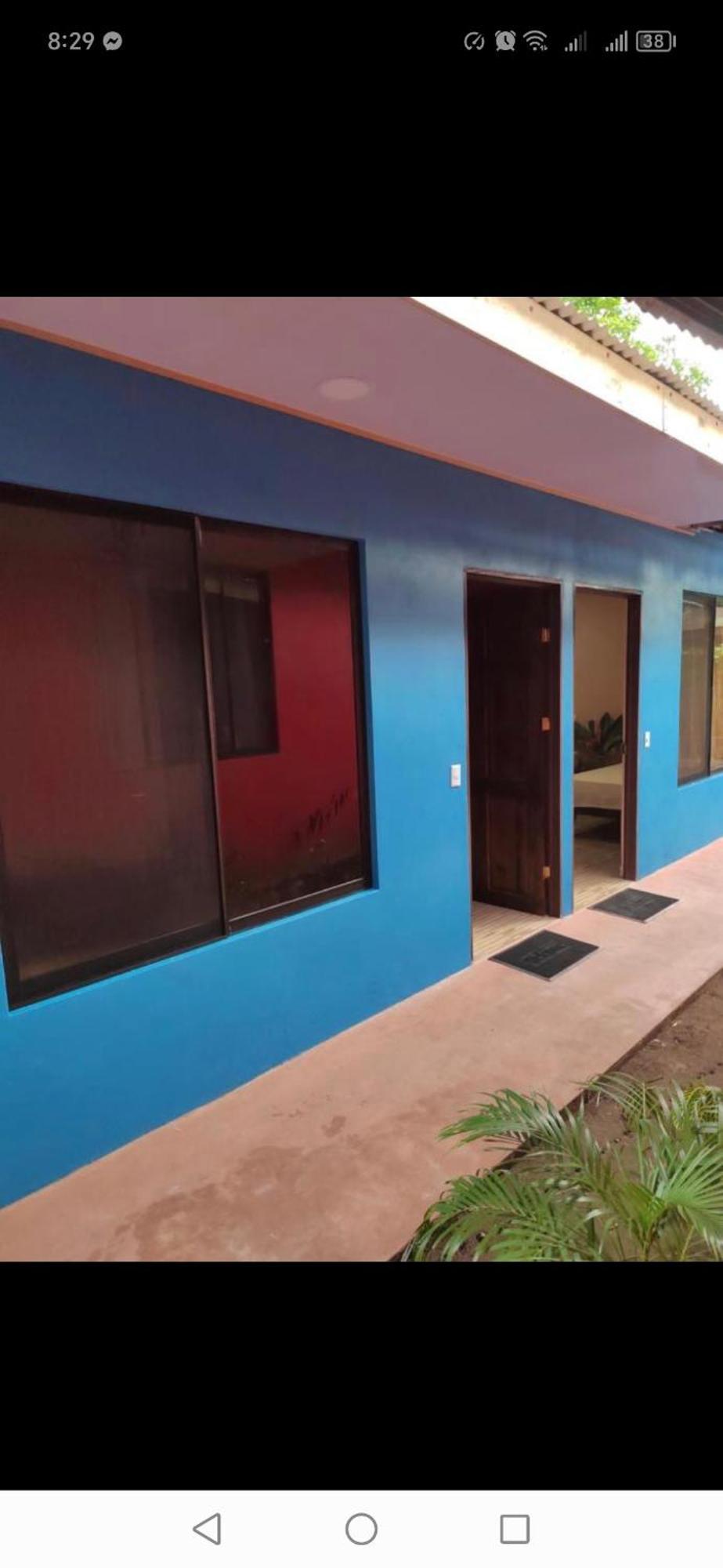Cabinas Agamy Tortuguero Værelse billede